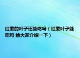 红薯的叶子还能吃吗（红薯叶子能吃吗 给大家介绍一下）