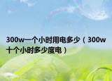 300w一个小时用电多少（300w十个小时多少度电）