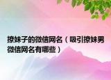 撩妹子的微信网名（吸引撩妹男微信网名有哪些）