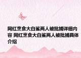网红烹食大白鲨两人被批捕详细内容 网红烹食大白鲨两人被批捕具体介绍