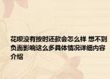 花呗没有按时还款会怎么样 想不到负面影响这么多具体情况详细内容介绍