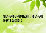 橘子与桔子有何区别（桔子与橘子有什么区别）