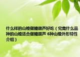什么样的山楂做糖葫芦好吃（究竟什么品种的山楂适合做糖葫芦 6种山楂外形特性介绍）