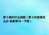 萝卜黄叶什么问题（萝卜叶发黄怎么办 快来学习一下吧）