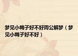 梦见小鸭子好不好周公解梦（梦见小鸭子好不好）
