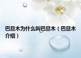 巴旦木为什么叫巴旦木（巴旦木介绍）
