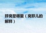 脖窝是哪里（窝脖儿的解释）