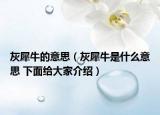 灰犀牛的意思（灰犀牛是什么意思 下面给大家介绍）