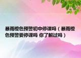 暴雨橙色预警初中停课吗（暴雨橙色预警要停课吗 你了解过吗）