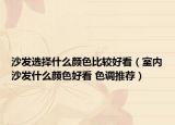 沙发选择什么颜色比较好看（室内沙发什么颜色好看 色调推荐）