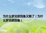 为什么梦见抓到鱼又跑了（为什么梦见抓到鱼）