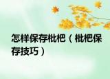 怎样保存枇杷（枇杷保存技巧）