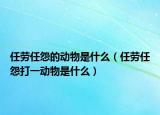 任劳任怨的动物是什么（任劳任怨打一动物是什么）