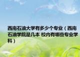西南石油大学有多少个专业（西南石油学院是几本 校内有哪些专业学科）