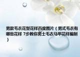 男款毛衣花型花样百度图片（男式毛衣有哪些花样 7步教你男士毛衣马甲花样编制）