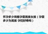 怀孕多少周看孕囊男孩女孩（孕囊多少为男孩 孕妇好奇吗）