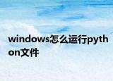windows怎么运行python文件