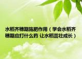 水稻齐穗期施肥作用（学会水稻齐穗期应打什么药 让水稻茁壮成长）