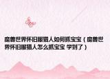 魔兽世界怀旧服猎人如何抓宝宝（魔兽世界怀旧服猎人怎么抓宝宝 学到了）