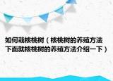 如何栽核桃树（核桃树的养殖方法 下面就核桃树的养殖方法介绍一下）