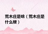 荒木庄是啥（荒木庄是什么梗）