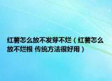 红薯怎么放不发芽不烂（红薯怎么放不烂根 传统方法很好用）
