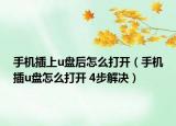 手机插上u盘后怎么打开（手机插u盘怎么打开 4步解决）