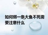 如何绑一条大鱼不死需要注意什么
