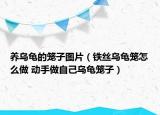 养乌龟的笼子图片（铁丝乌龟笼怎么做 动手做自己乌龟笼子）