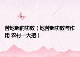 苦地胆的功效（地苦胆功效与作用 农村一大把）