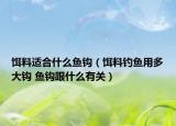 饵料适合什么鱼钩（饵料钓鱼用多大钩 鱼钩跟什么有关）