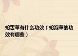 蛇舌草有什么功效（蛇泡草的功效有哪些）