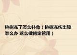 桃树冻了怎么补救（桃树冻伤出胶怎么办 这么做肯定管用）