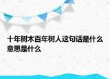 十年树木百年树人这句话是什么意思是什么