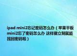 ipad mini2忘记密码怎么办（苹果平板mini2忘了密码怎么办 这样做立刻就能找回密码啦）