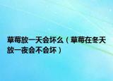 草莓放一天会坏么（草莓在冬天放一夜会不会坏）