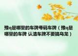 豫q是哪里的车牌号码车牌（豫q是哪里的车牌 认清车牌不要搞乌龙）