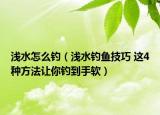 浅水怎么钓（浅水钓鱼技巧 这4种方法让你钓到手软）