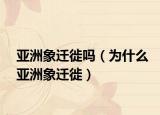亚洲象迁徙吗（为什么亚洲象迁徙）