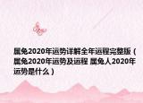 属兔2020年运势详解全年运程完整版（属兔2020年运势及运程 属兔人2020年运势是什么）