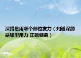 深蹲是用哪个部位发力（知道深蹲是哪里用力 正确健身）
