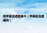 用苹果泡酒能喝不（苹果能泡酒喝吗）