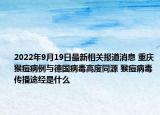 2022年9月19日最新相关报道消息 重庆猴痘病例与德国病毒高度同源 猴痘病毒传播途经是什么