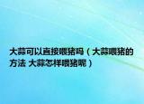 大蒜可以直接喂猪吗（大蒜喂猪的方法 大蒜怎样喂猪呢）