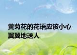 黄菊花的花语应该小心翼翼地送人