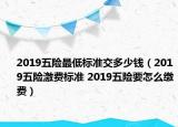2019五险最低标准交多少钱（2019五险激费标准 2019五险要怎么缴费）