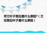 翠兰叶子耷拉是什么原因?（兰花耷拉叶子是什么原因）