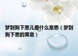 梦到狗下崽儿是什么意思（梦到狗下崽的寓意）