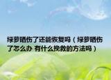 绿萝晒伤了还能恢复吗（绿萝晒伤了怎么办 有什么挽救的方法吗）