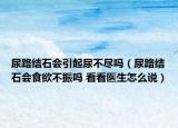尿路结石会引起尿不尽吗（尿路结石会食欲不振吗 看看医生怎么说）